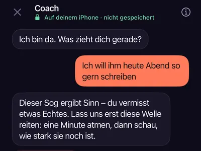 Chat mit dem KI-Coach von Zero Contact, der jemandem antwortet, der dem Ex heute Abend schreiben will